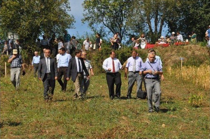 Fasulye Hasat Tarla Günü G4