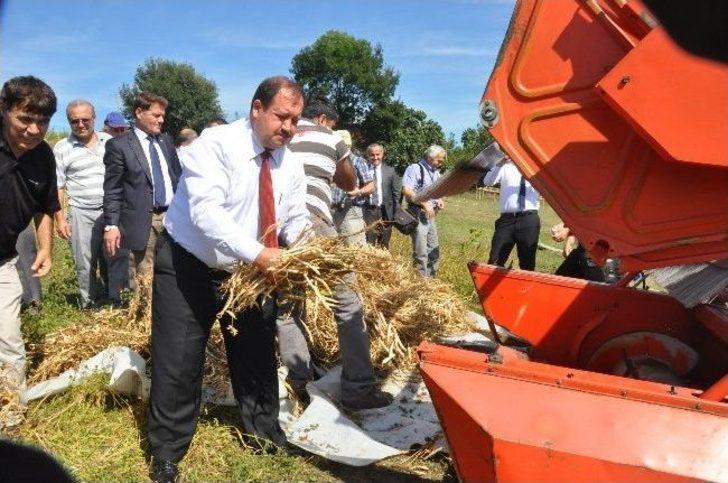 Fasulye Hasat Tarla Günü G5