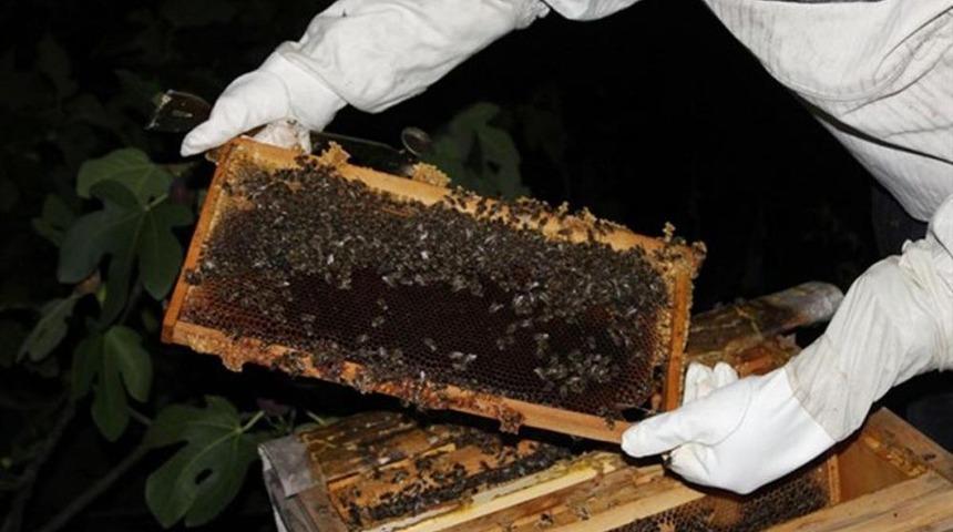 Artvin&rsquo;de Orman K&ouml;yl&uuml;s&uuml;ne 4 Bin 830 Arılı Kovan Desteği Sağlandı