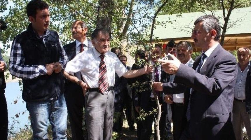 Proje Kapsamında &Uuml;retilen Alabalıklar, G&ouml;r&uuml;c&uuml;ye &Ccedil;ıktı