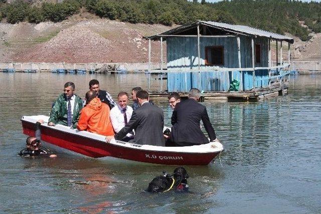 Proje Kapsamında Üretilen Alabalıklar, Görücüye Çıktı