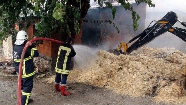 Bilecik te Samanlık Yangını 3