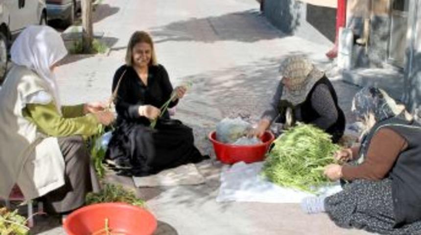 Sivas&rsquo;ın Y&ouml;resel Lezzeti Dal Turşusu I&ccedil;in Kadınlar Kolları Sıvadı