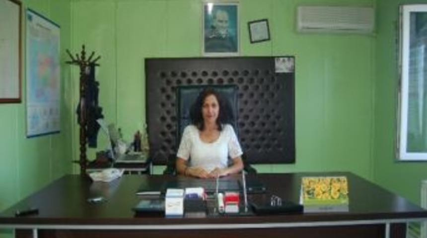 Lapseki Kirazı D&uuml;nya Markası Olma Yolunda İlerliyor