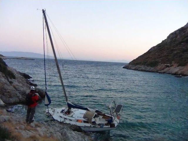 Akut'a İngiltere'den Teşekkür Mektubu