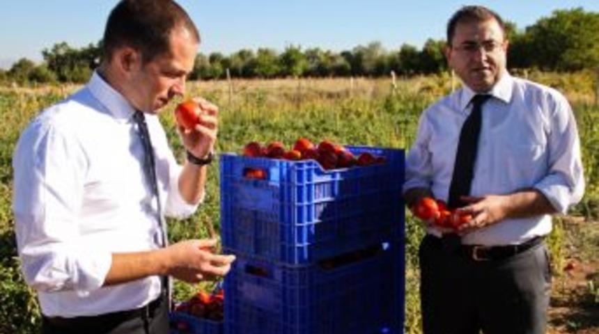 Knorr'dan 3 Bin &Ccedil;ift&ccedil;iye Eğitim