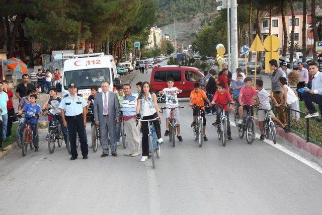 Taşova 9. Çiçek Bamyası Festivali