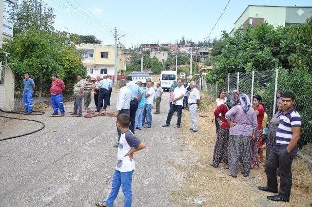 Kozan'da Ev Yangını Korkuttu