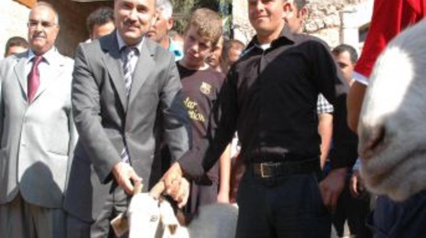 Kavalcık K&ouml;y&uuml;nde 200 Şam Ke&ccedil;isi Dağıtıldı