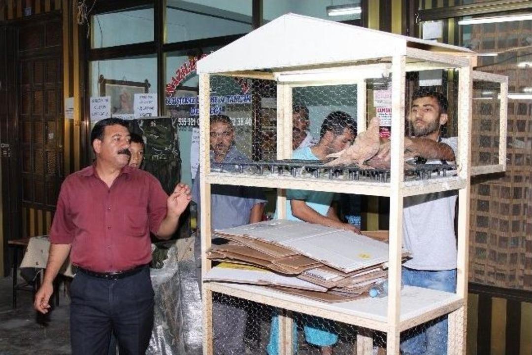 Egeli G&uuml;vercin Meraklıları Mezatta Buluştu