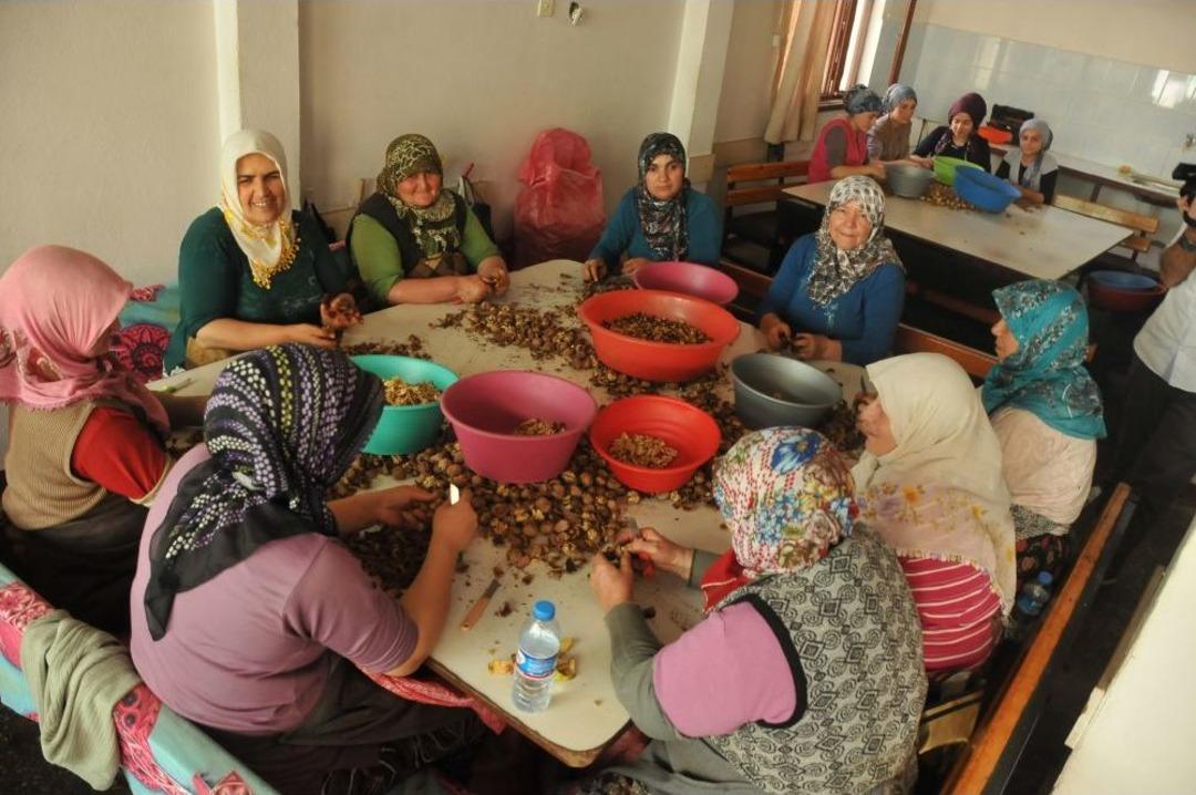 Kınalı Eller, 10 Bin Ton Ceviz &Uuml;retecek