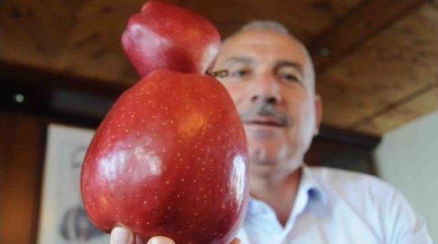 Isparta'da dev elma g&ouml;renleri şaşırtıyor
