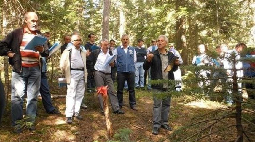 Kastamonu&rsquo;da Se&ccedil;me Tatbikatı