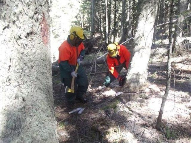 Kastamonu’da Seçme Tatbikatı