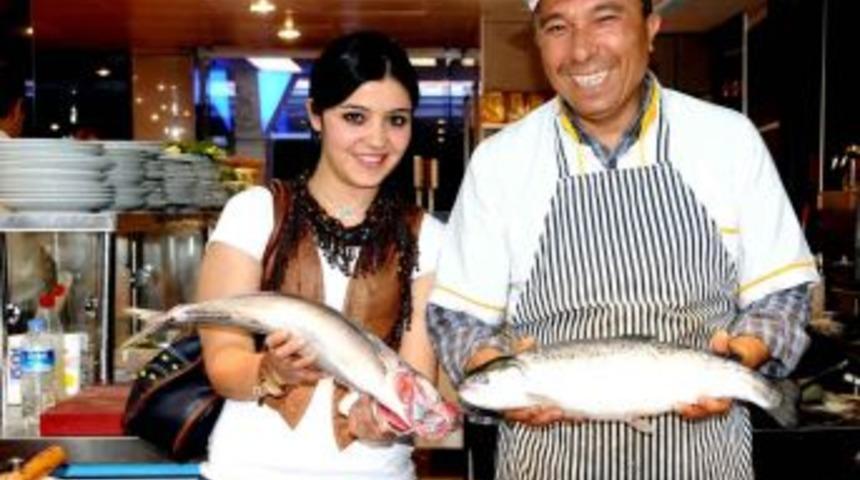 Balık Sezonu Bereketli Başladı