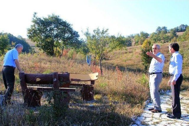 Meclis Ormanı Ve Çeşmesi Halkın Hizmetine Sunuldu