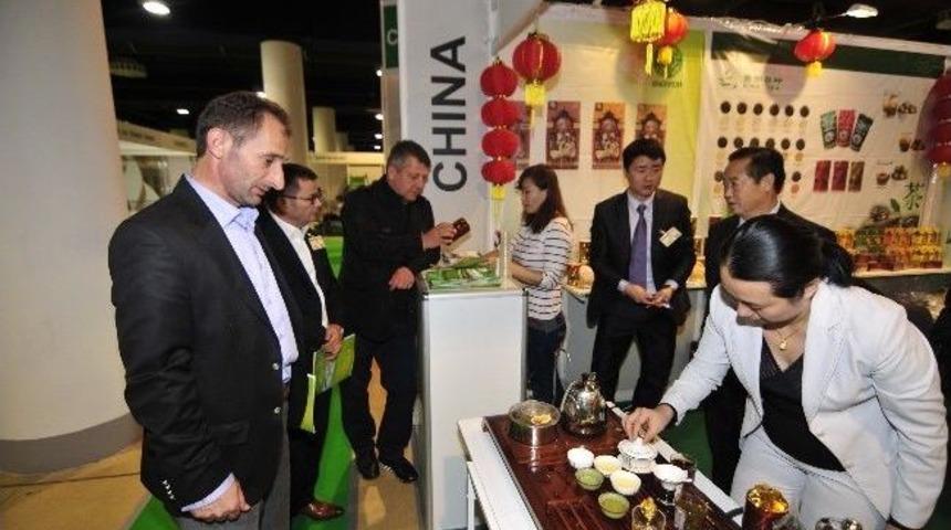 &Ccedil;aykur&rsquo;un G&ouml;z&uuml; Rusya&rsquo;nın &Ccedil;ay Pazarında