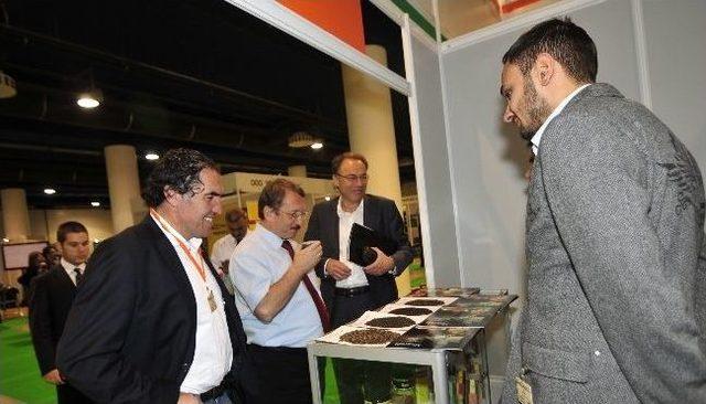 &Ccedil;aykur&rsquo;un G&ouml;z&uuml; Rusya&rsquo;nın &Ccedil;ay Pazarında 2