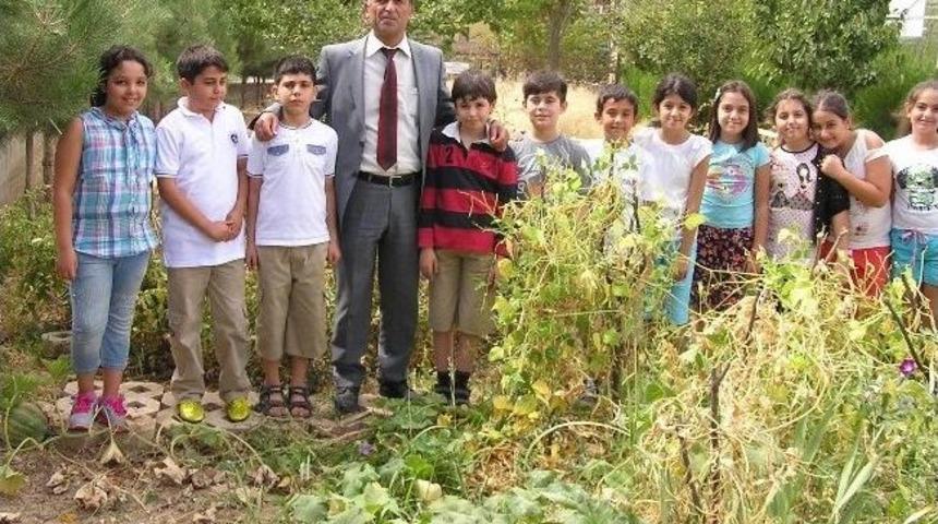 Sene Sonu Ektikleri Sebzelerin Hasadını Yapıyorlar