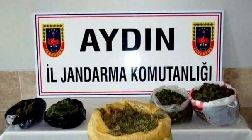 Aydın Jandarması İlk 7 Ayda Uyuşturucu Ve Kaçakçılığa Geçit Vermedi