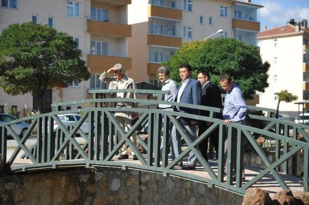 Boz&uuml;y&uuml;k Belediyesi &Ccedil;alışmaları