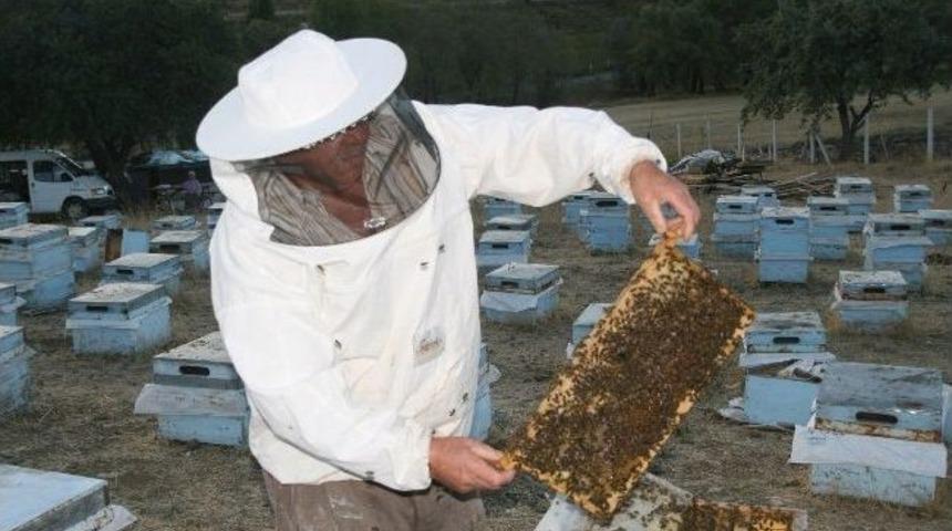 Yozgat&rsquo;ta Havaların Kurak Ge&ccedil;mesi Arıcıları Olumsuz Etkiledi
