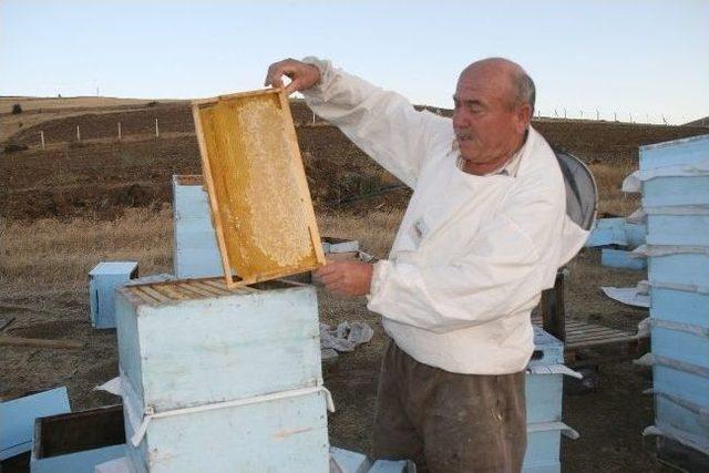 Yozgat’ta Havaların Kurak Geçmesi Arıcıları Olumsuz Etkiledi