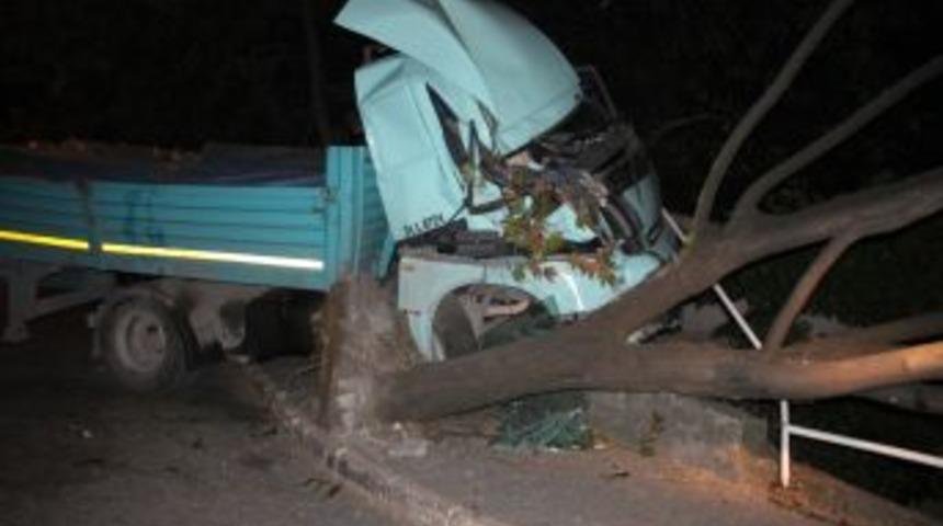 Freni Boşalan TIR, Ağacı K&ouml;k&uuml;nden S&ouml;kerek Durabildi