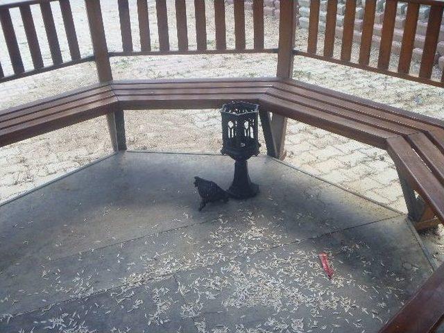 Hamsu Vadisi Alanı Alkoliklerin Mekanı Haline Geldi 2