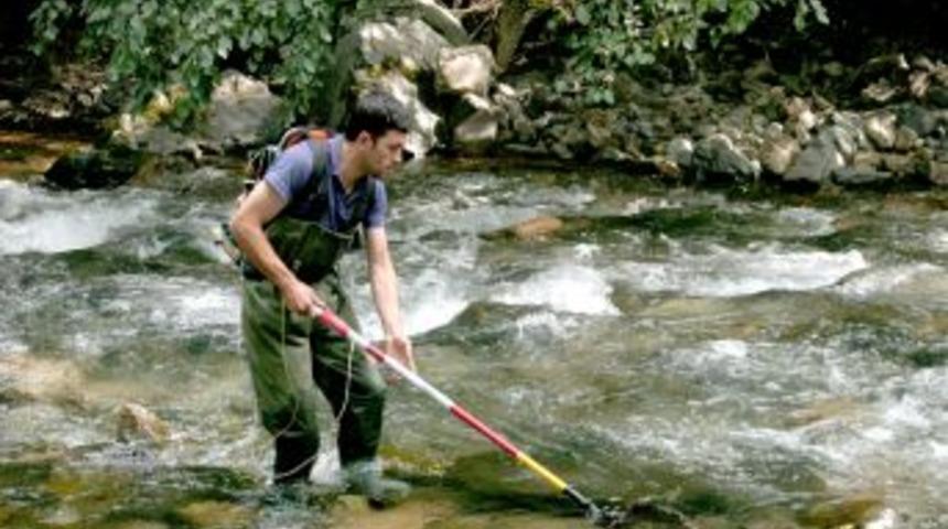 Orman I&ccedil;i Sulardan 4 Bin 27 Adet Ana&ccedil; Balık Toplandı
