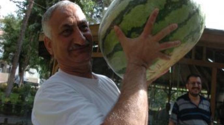 Karpuz Festivali 19-21 Eyl&uuml;l Tarihleri Arasında Yapılacak