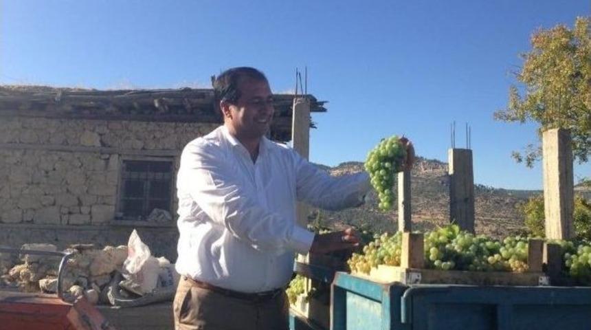 Ak Parti'li Uzun Mut'da