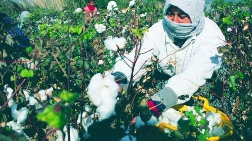 Pamuk &Ccedil;ift&ccedil;isine Cansuyu