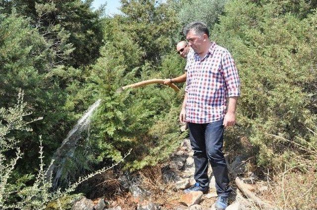 Başkan Sandalcı, Arıtma Tesisini İnceledi 2