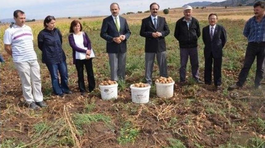 Organik Patateslerin Hasadı Yapıldı
