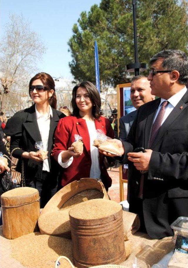 Manavgat Susamı Fuarda Tanıtılıyor 1