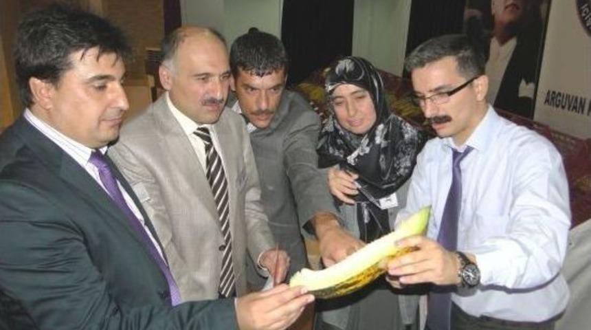 Malatya&rsquo;nın En G&uuml;zel Kavunu Se&ccedil;ildi