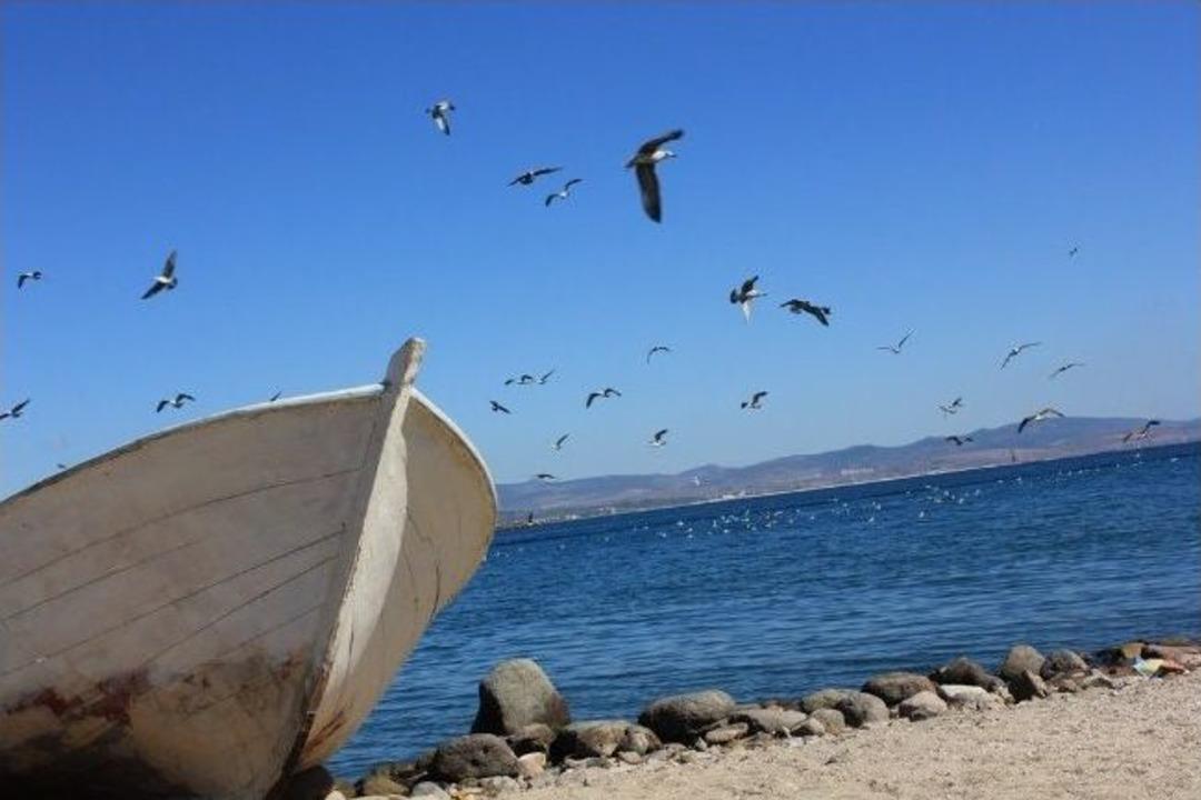 Sonbahar'da Bir Başkadır &Ccedil;andarlı