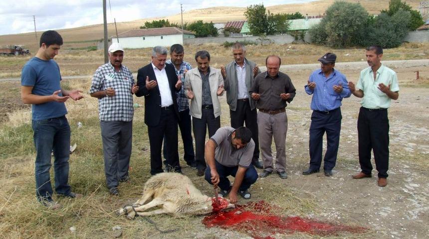 Yerk&ouml;y&rsquo;de Pancar Hasadı Başladı, Nakliyecilerin Y&uuml;z&uuml; G&uuml;ld&uuml;