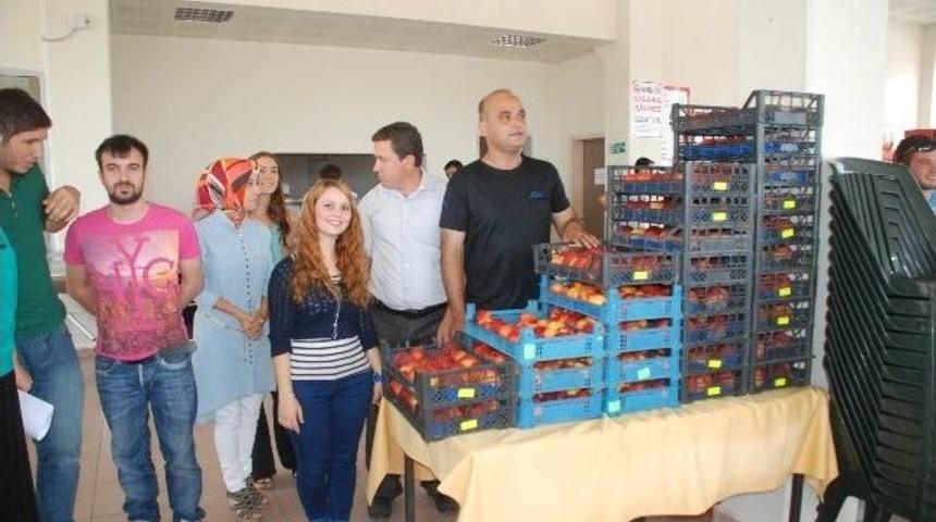 &Uuml;niversite &Ouml;ğrencilerini Şeftaliyle Karşıladı