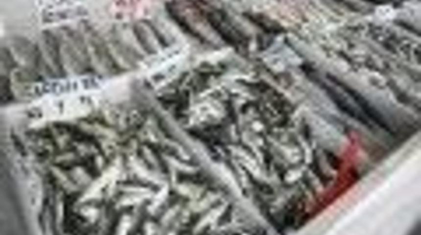 Perakende Balık Satıcıları Ve Balık Restoranı İşletmecileri Bilgilendirildi