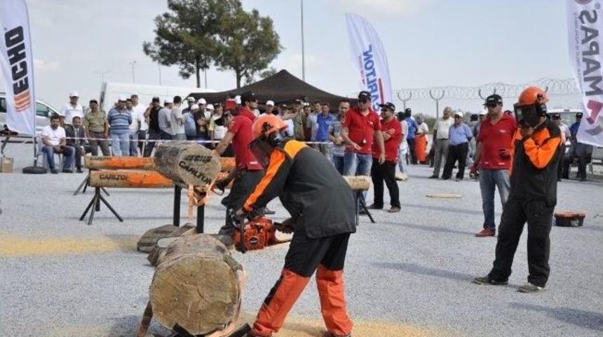 Mersin'de Motorlu Testere Kesim Yarışması