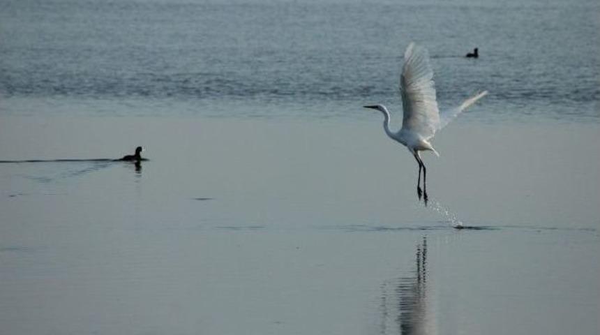 &ldquo;kızılırmak Deltası Av Turizmine A&ccedil;ılıyor&rdquo; İddiası
