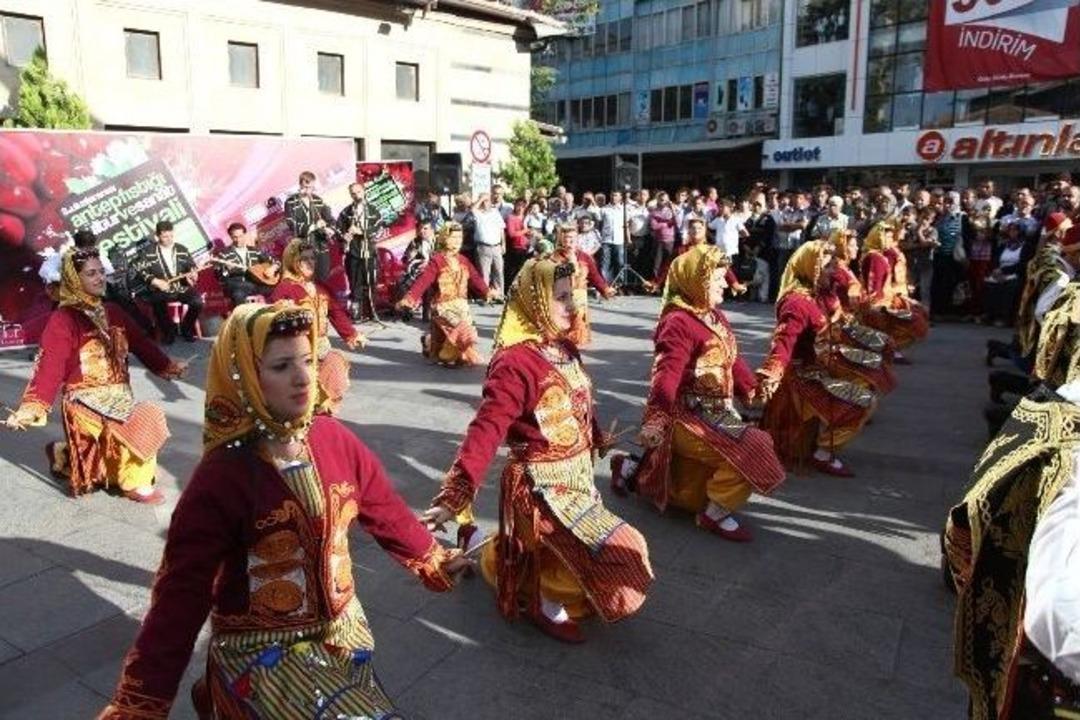 Fıstık Festivali Başladı