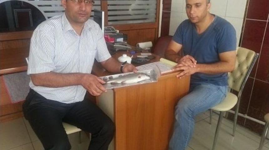 Mardin Gıda Tarım Ve Hayvancılık İl M&uuml;d&uuml;rl&uuml;ğ&uuml;&rsquo;nden Su &Uuml;r&uuml;nlerini Denetimi