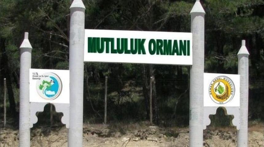 Mutluluk Ormanında &Uuml;cretsiz D&uuml;ğ&uuml;n