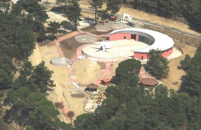 Yeni Evlenen &Ccedil;iftler İ&ccedil;in Mutluluk Ormanı Kuruldu 1