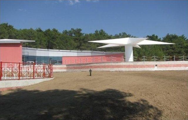 Mutluluk Ormanında &Uuml;cretsiz D&uuml;ğ&uuml;n 1