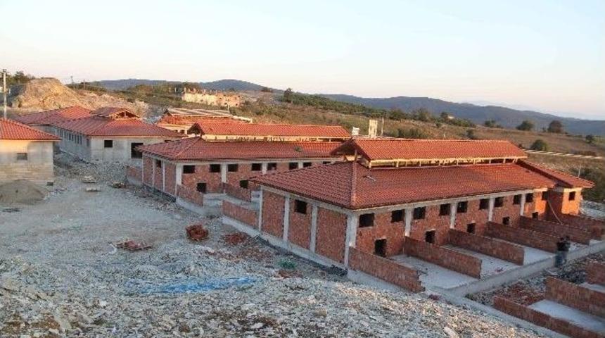 Kandıra&rsquo;da 170 D&ouml;n&uuml;ml&uuml;k Hayvan Barınağı