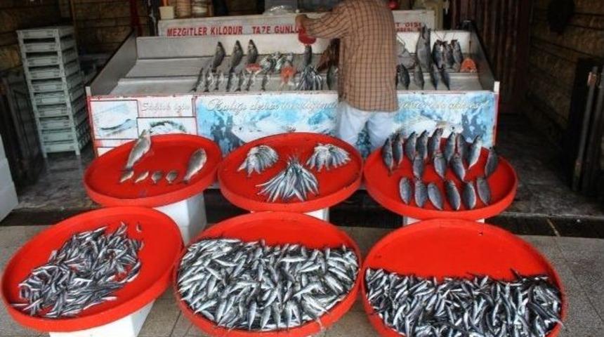 Balık&ccedil;ı Esnafı Ge&ccedil;tiğimiz Yılı Mumla Arıyor